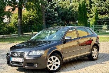 Audi A3*1.9TDi*Bez DPF*Klima*Duże Radio*Tempomat*Niskie Spalanie*