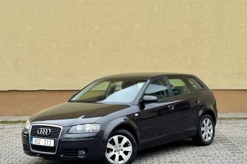 Audi A3*1.9TDi*Bez DPF*Klima*Duże Radio*Tempomat*Niskie Spalanie*